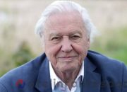 David Attenborough – Perfil biográfico [idade, altura, peso, biografia, Instagram, cônjuge e filhos]